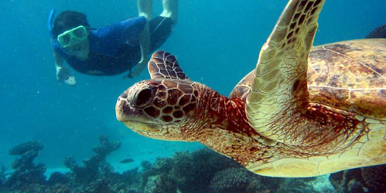 Galápagos North and Central Islands & Inca Discovery