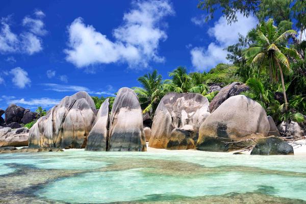 Discover why our brand-new destination, the Seychelles, is the ultimate secret for hikers, divers, and untamed nature lovers