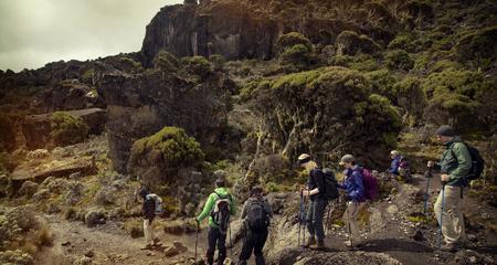 Mt Kilimanjaro Trek - Machame Route (8 Days)