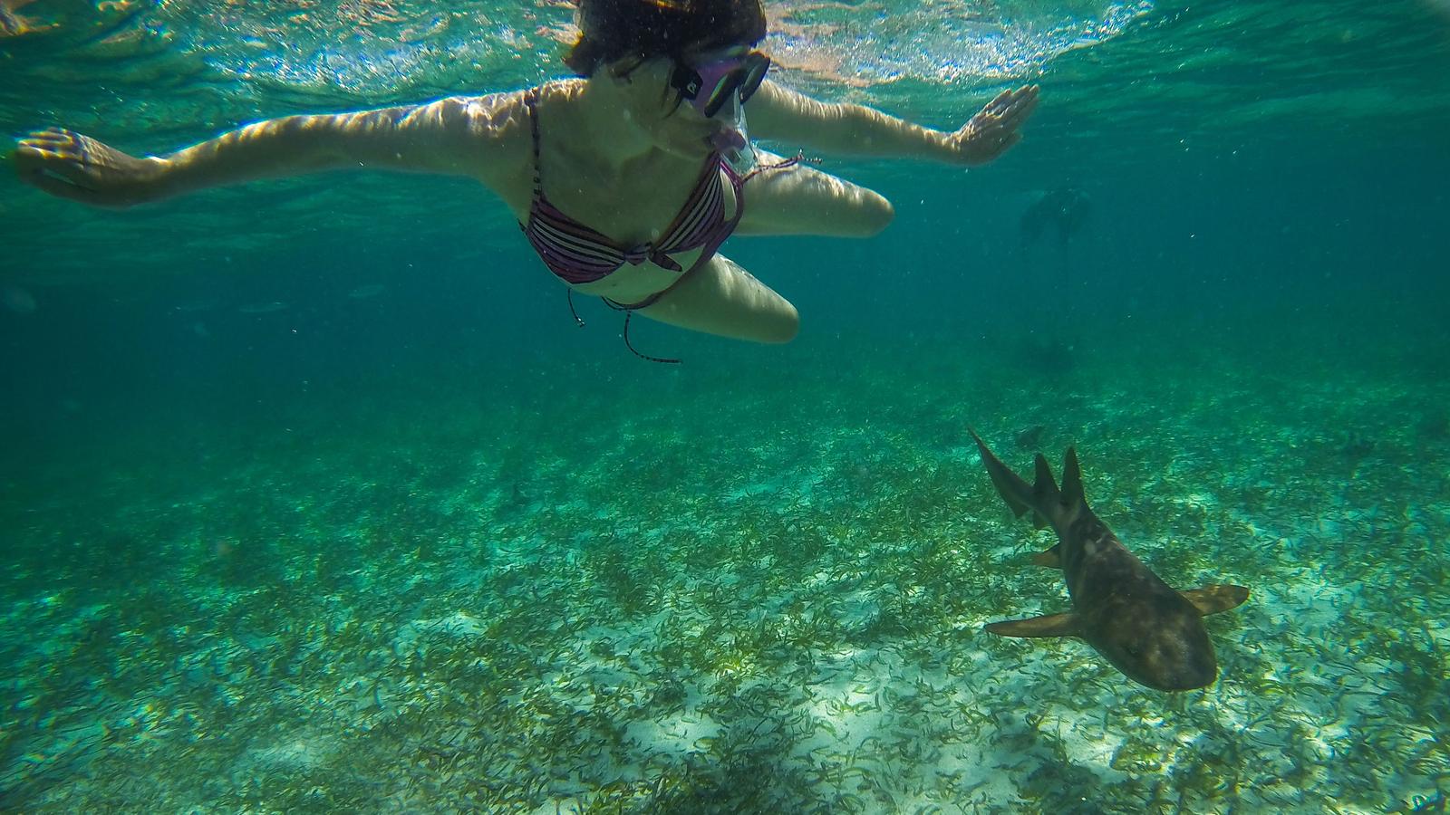 Island Adventure Tours Belize Island Adventure Tours Belize