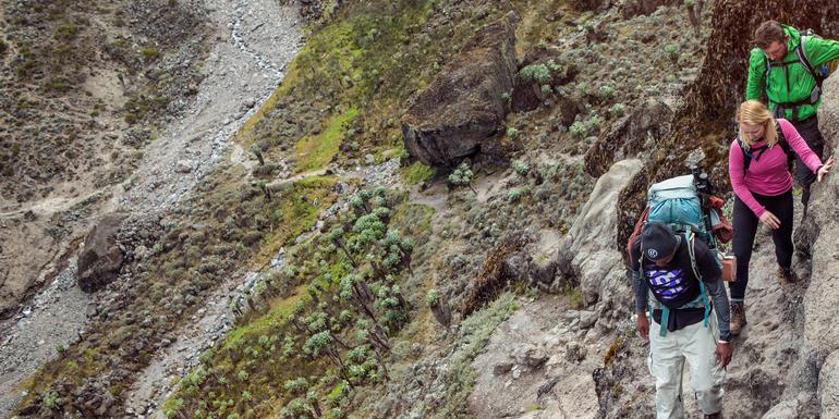 Kilimanjaro – Machame Route & Serengeti Adventure tourhub | G Adventures | Kilimanjaro – Machame Route & Serengeti Adventure