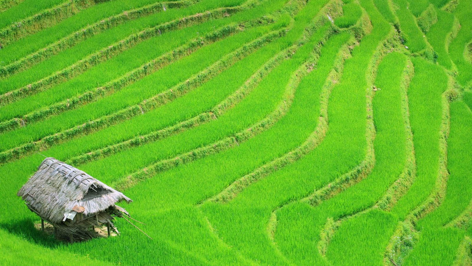 Timeless Vietnam