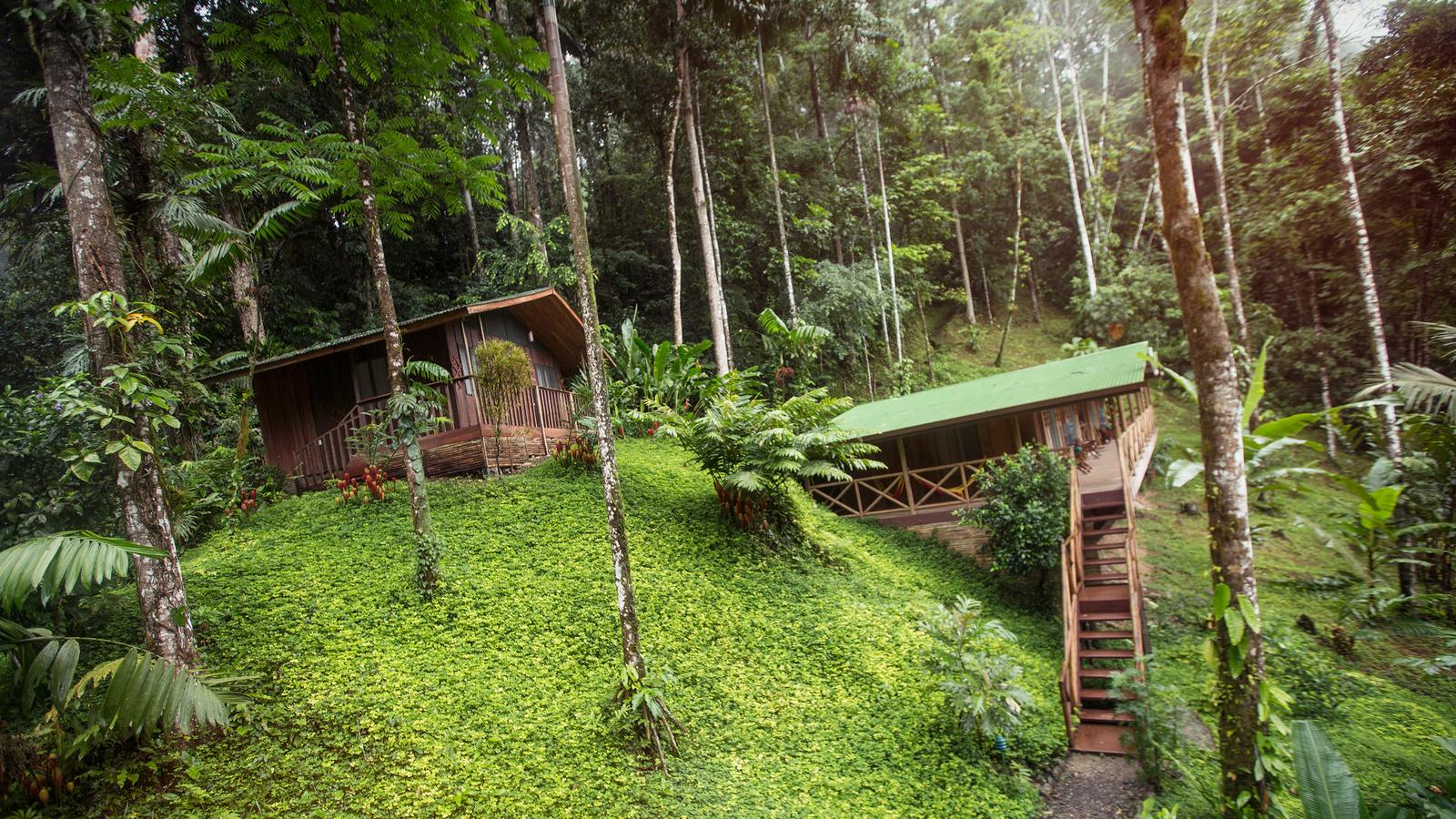 The gorgeous Pacuare lodge rests in the middle of the rainforest, Costa Rica