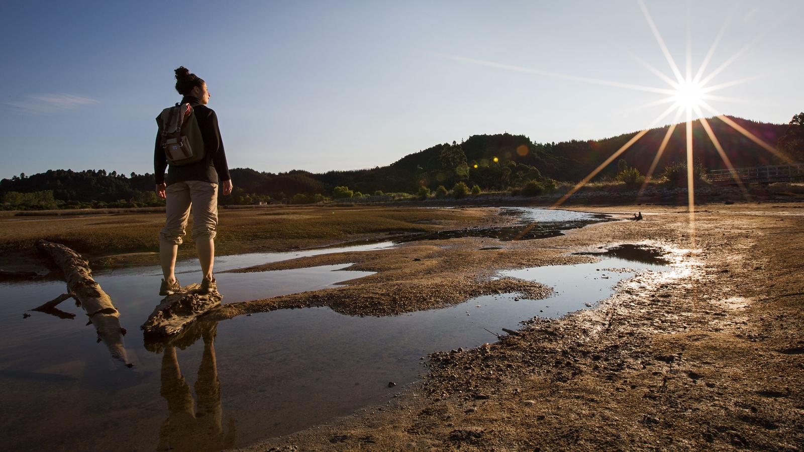 A traveller admires natural scenery at sunrise, Abel Tasman National Park, New Zealand