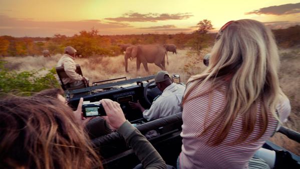 An African safari may be a once-in-a-lifetime experience — and one that can be truly magical for photographers