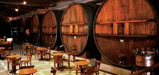 Mendoza Wineries Independent Adventure
