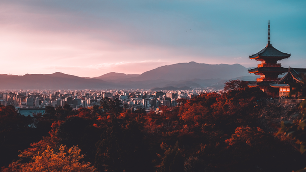 Celebrate our October return to Japan by grabbing your favourite cardigan and joining us for a handful of unexpected experiences