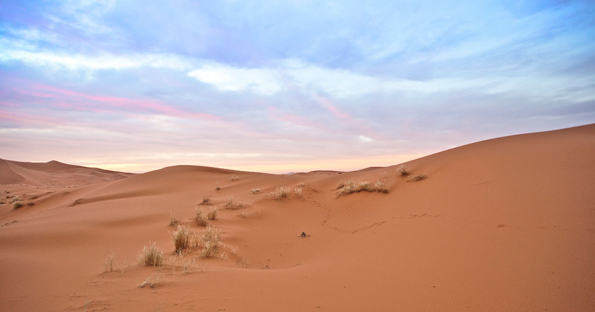 Morocco Tours & Guided Trips in 2024/25 G Adventures