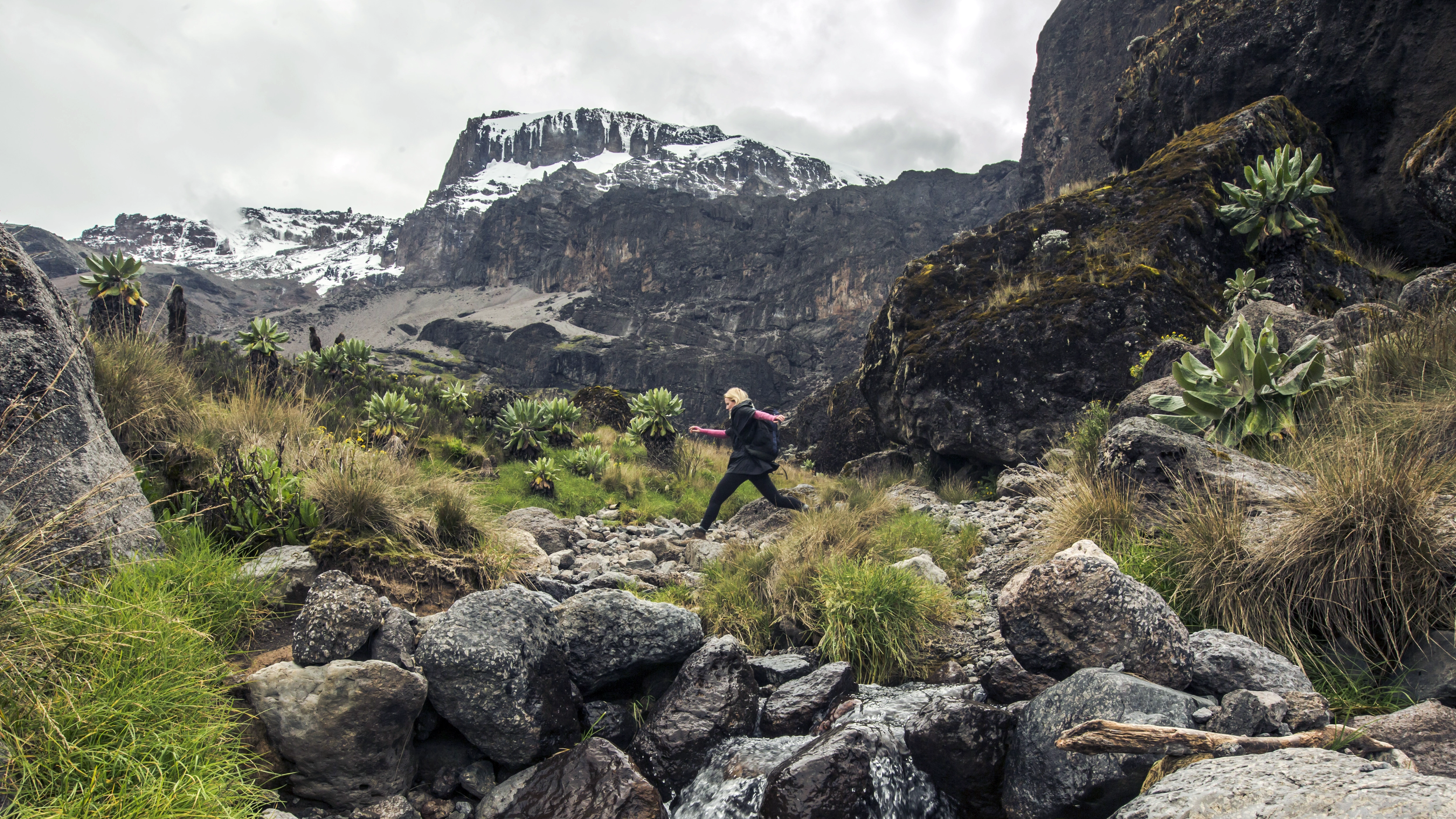 Kilimanjaro – Machame Route & Serengeti Adventure