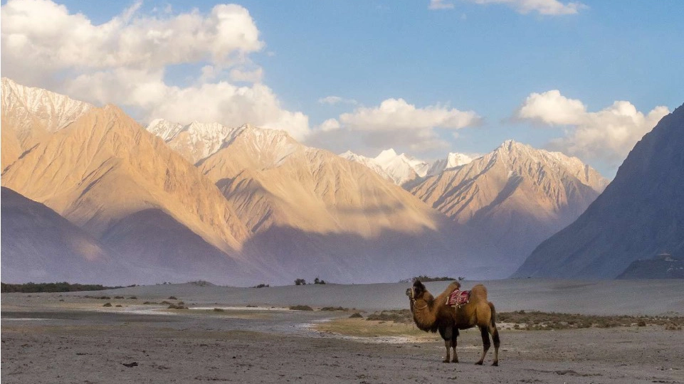 Northern India & Himalayan Trails