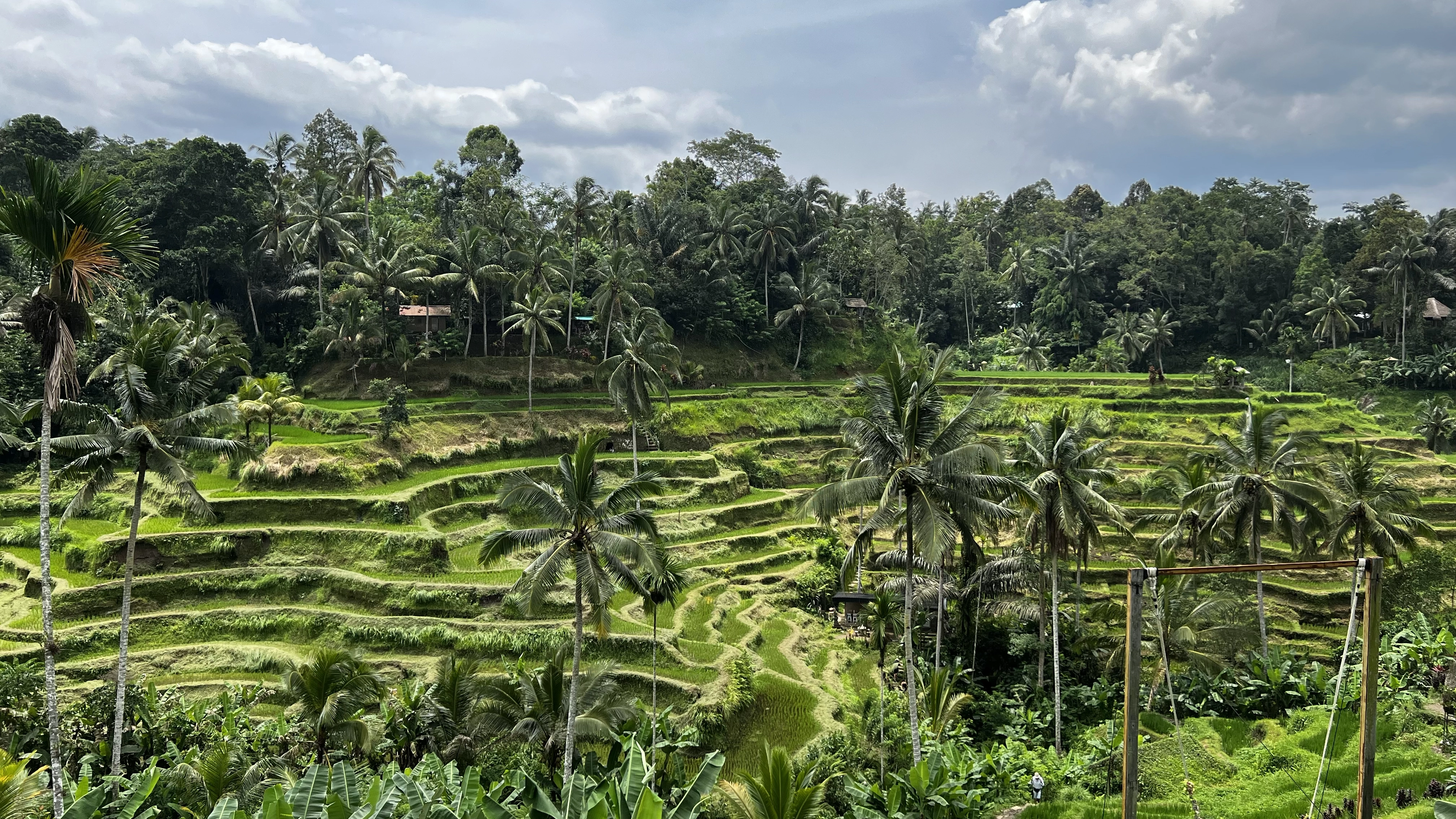 Bali’s Wild Heart: Soul, Surf & Spirit