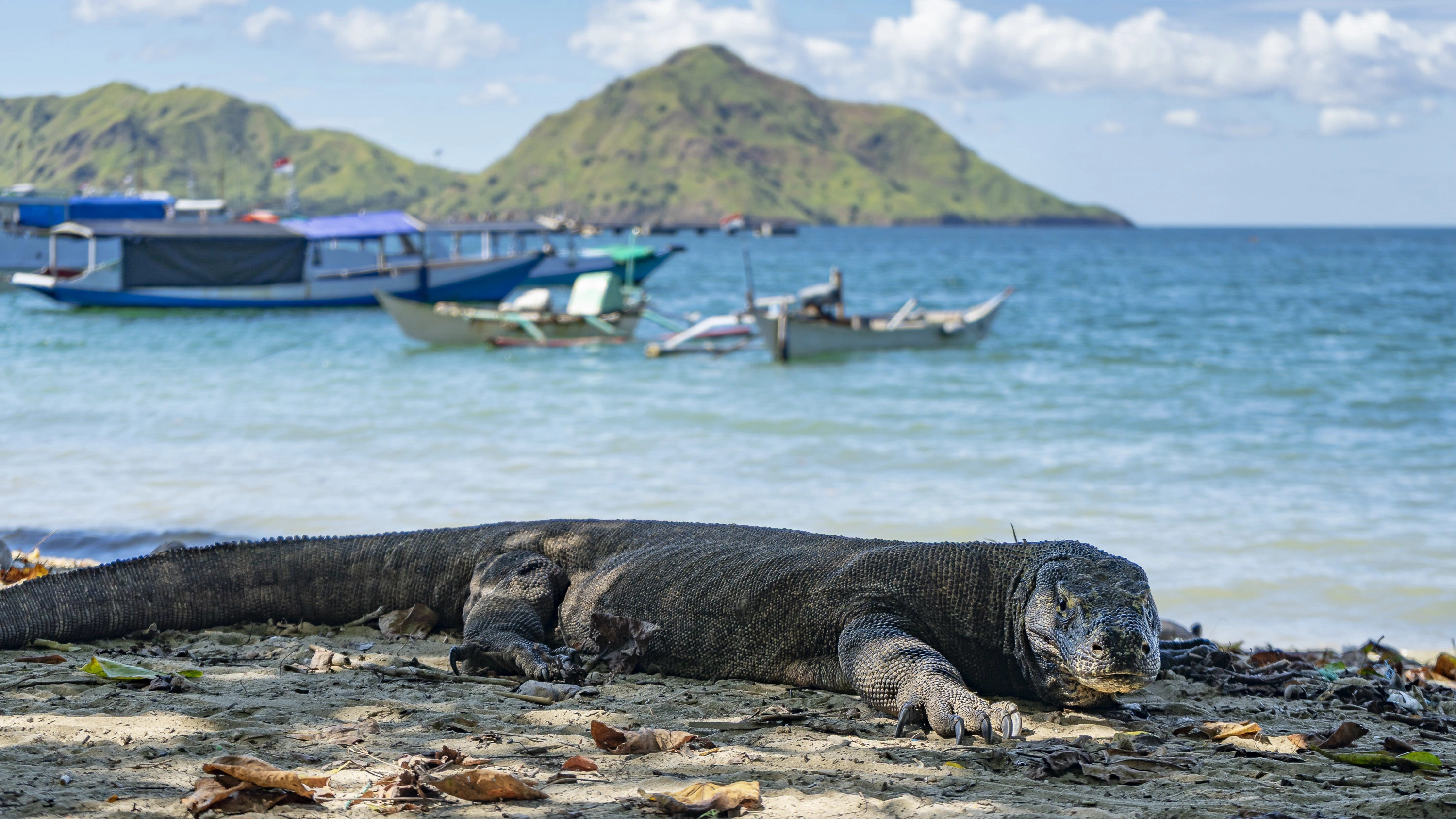 Bali to Flores: Trails, Tribal Villages & Dragon Lagoons