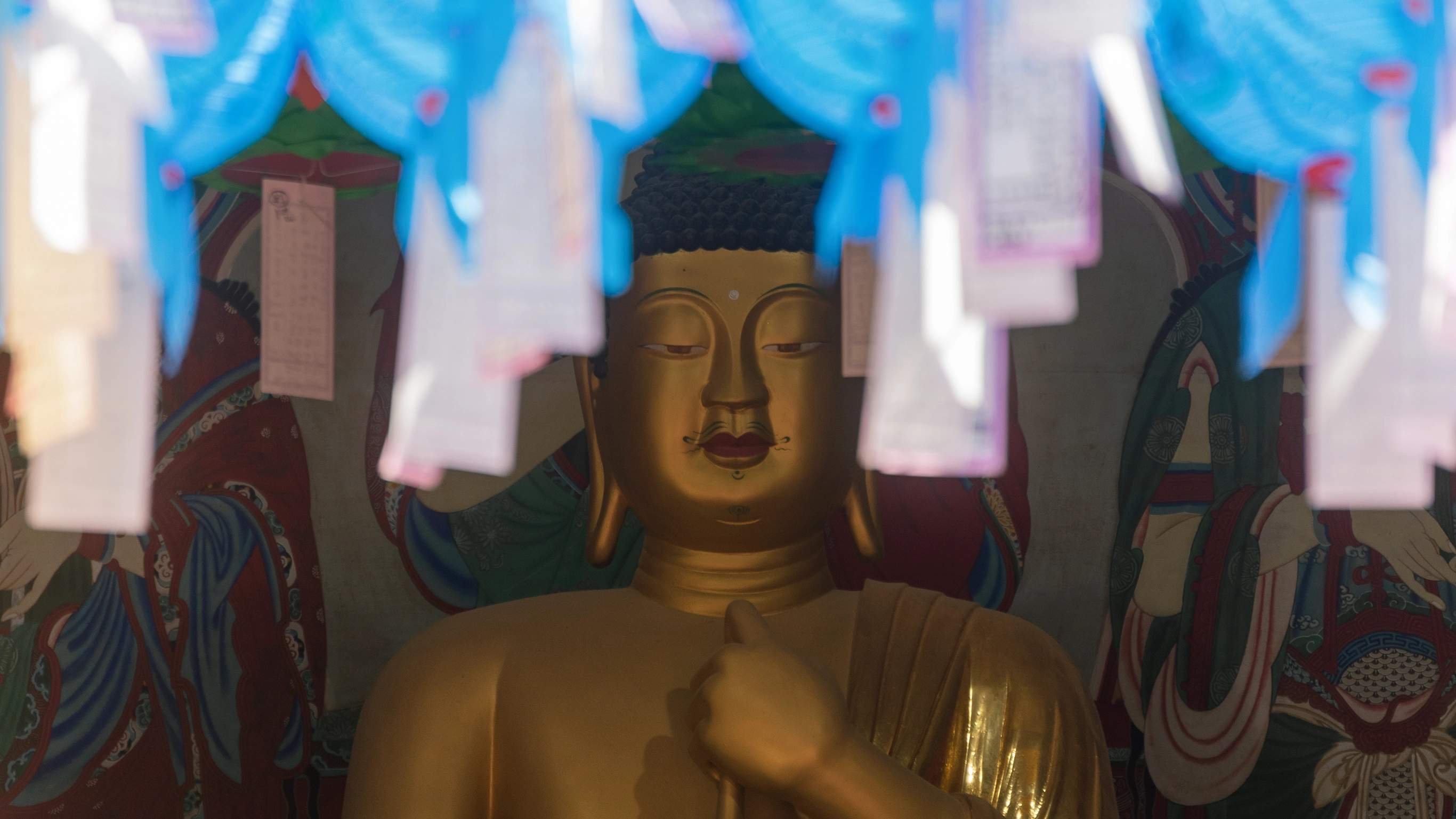 Best of South Korea image