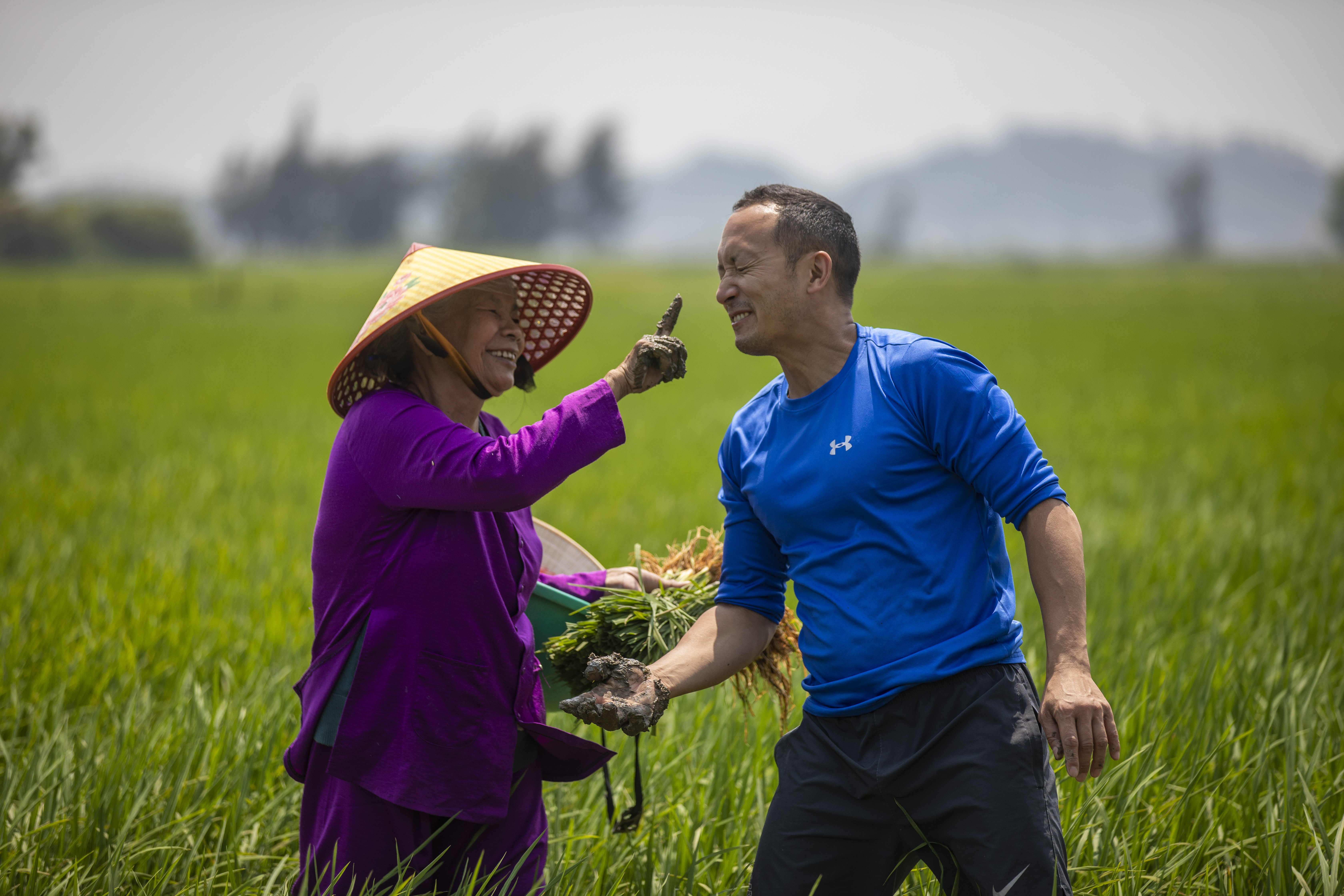 Classic Vietnam: Hanoi to Ho Chi Minh City image