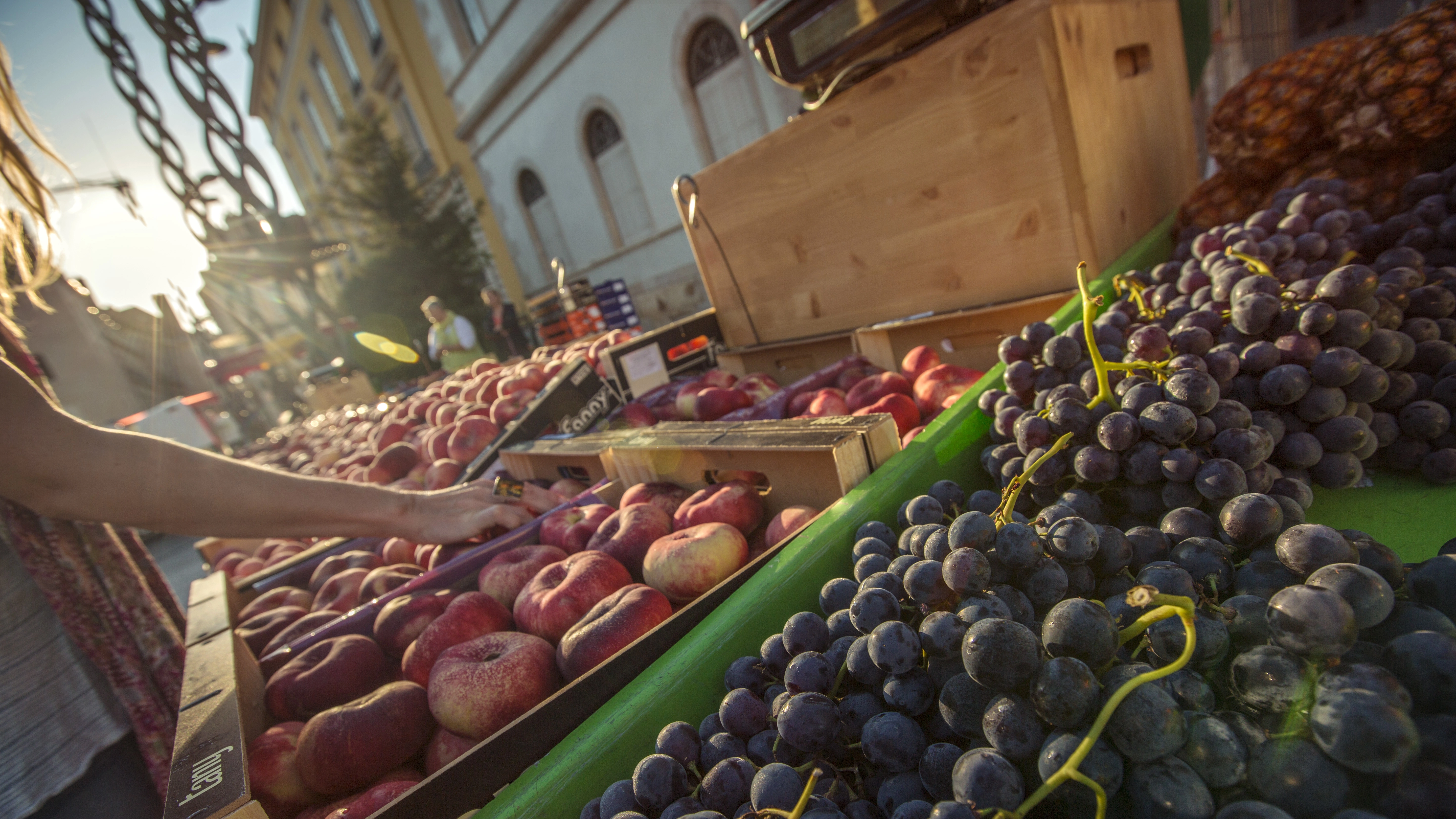 Local Living France: Toulouse