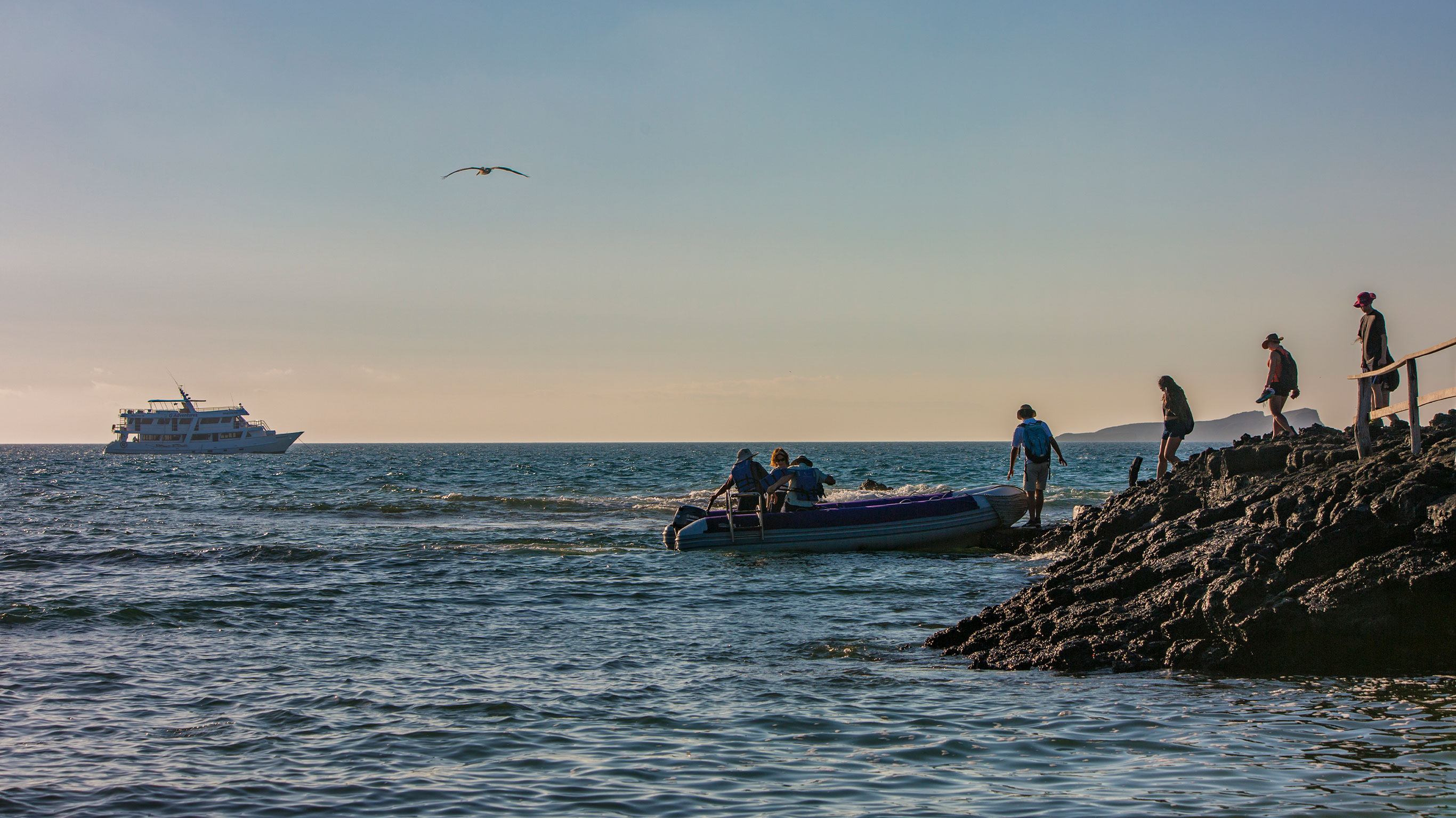 Galápagos — South & East Islands aboard the Eden