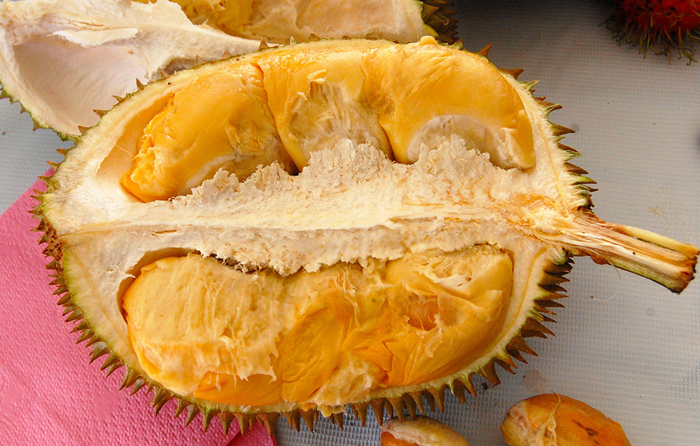 Spiky on the outside, durians are soft and sweet on the inside. Photo courtesy Michael L.