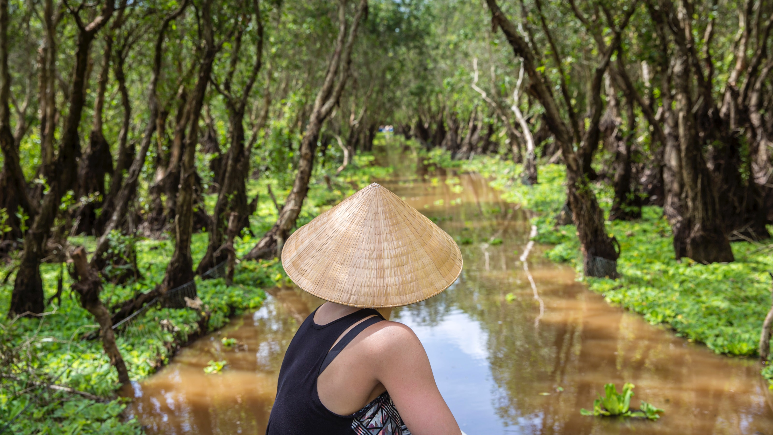 Best Time to Visit Vietnam: A Guide to the Year | G Adventures