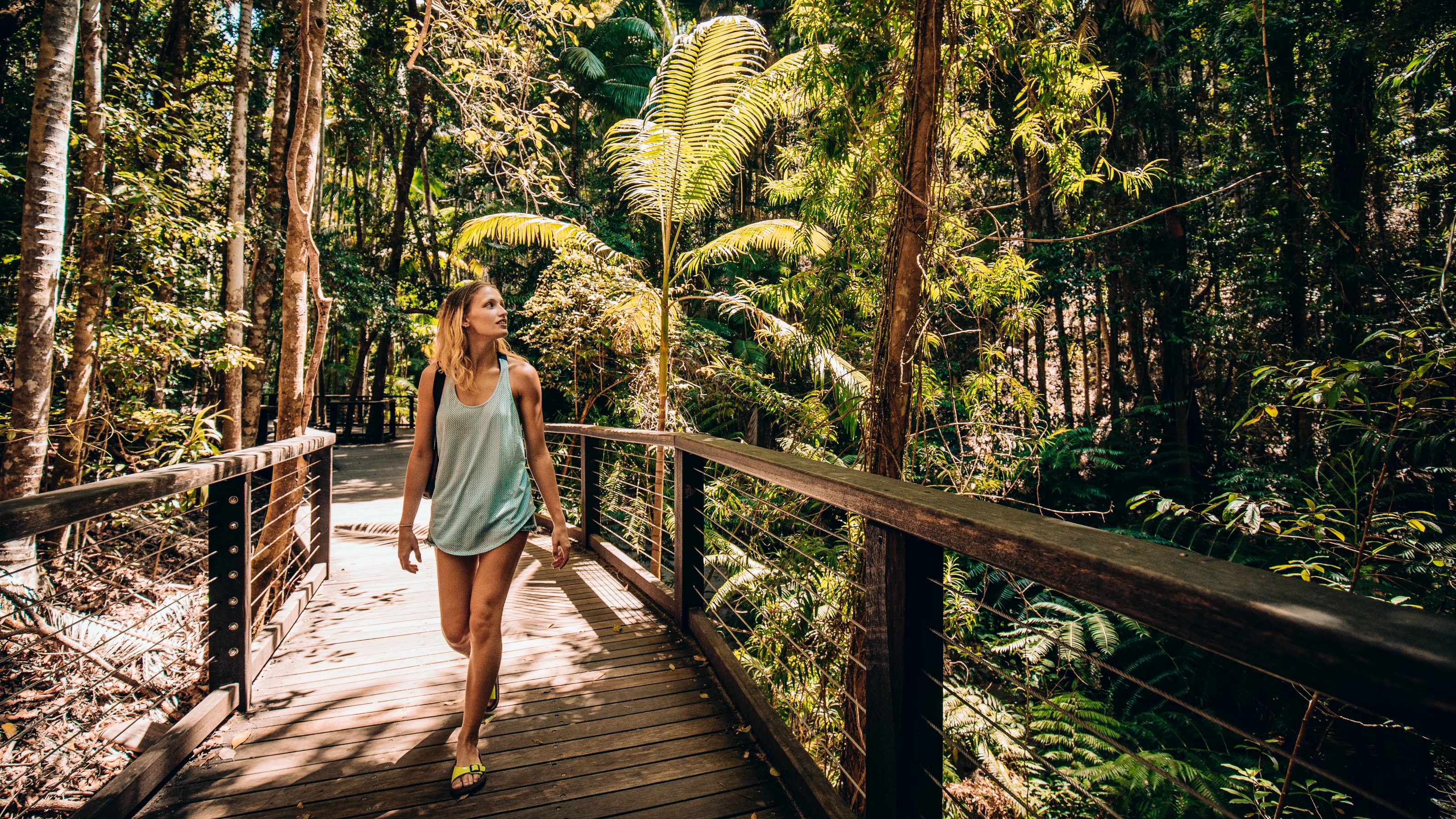 K’gari calling: adventures on Australia's sand island