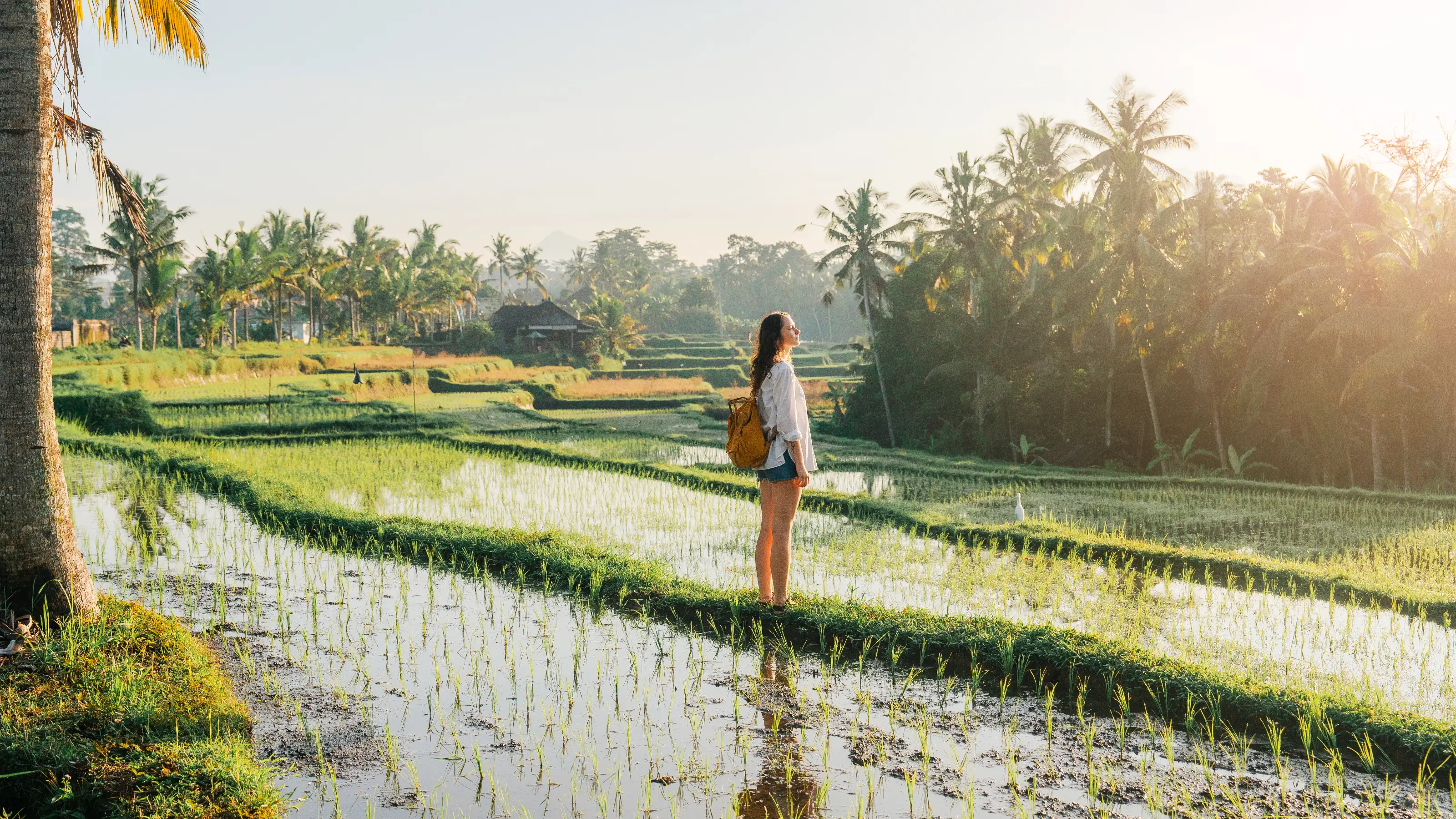 Book it to Bali: when's best to visit?