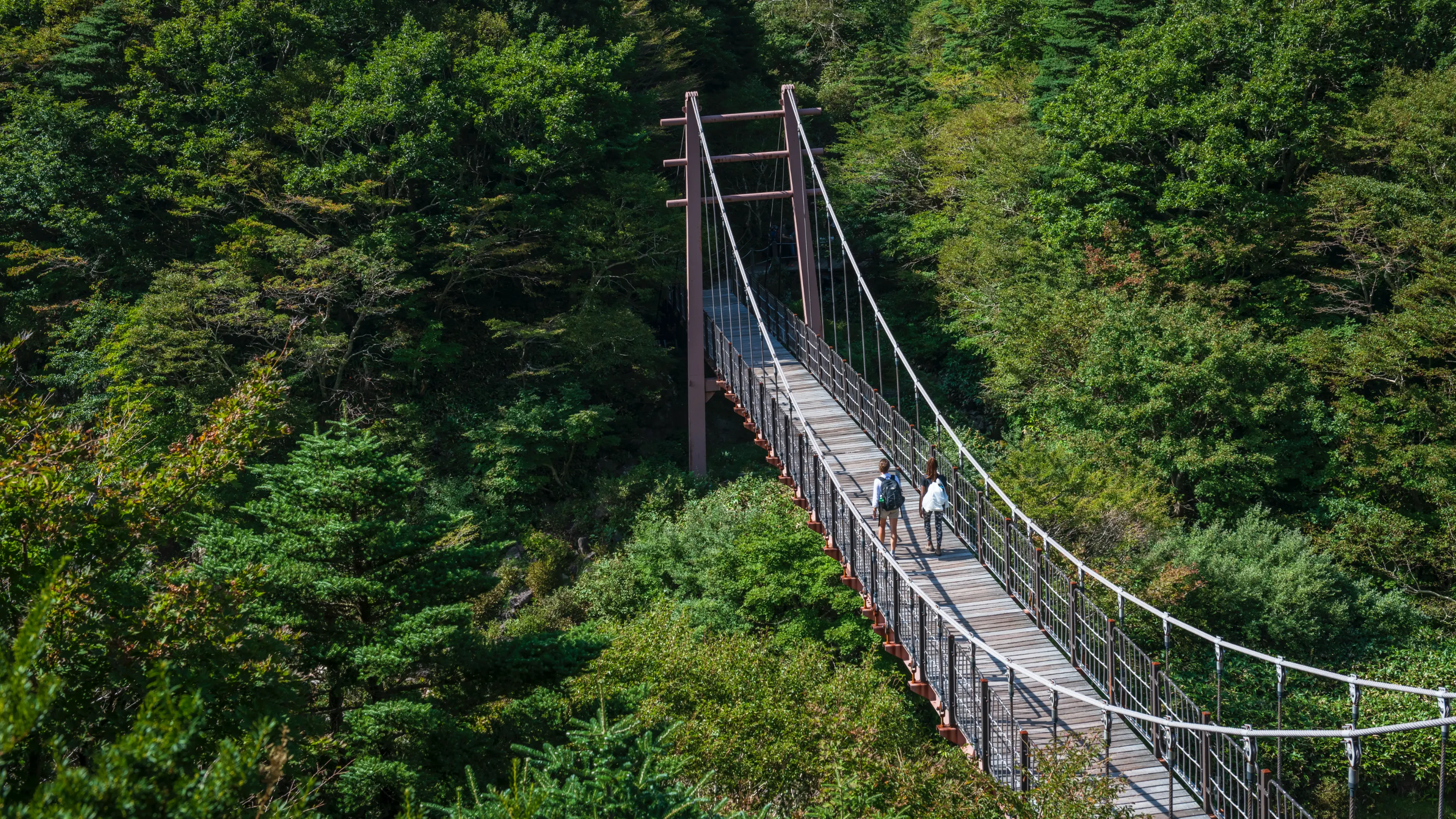 Journey to Jeju: how to explore Korea's island paradise
