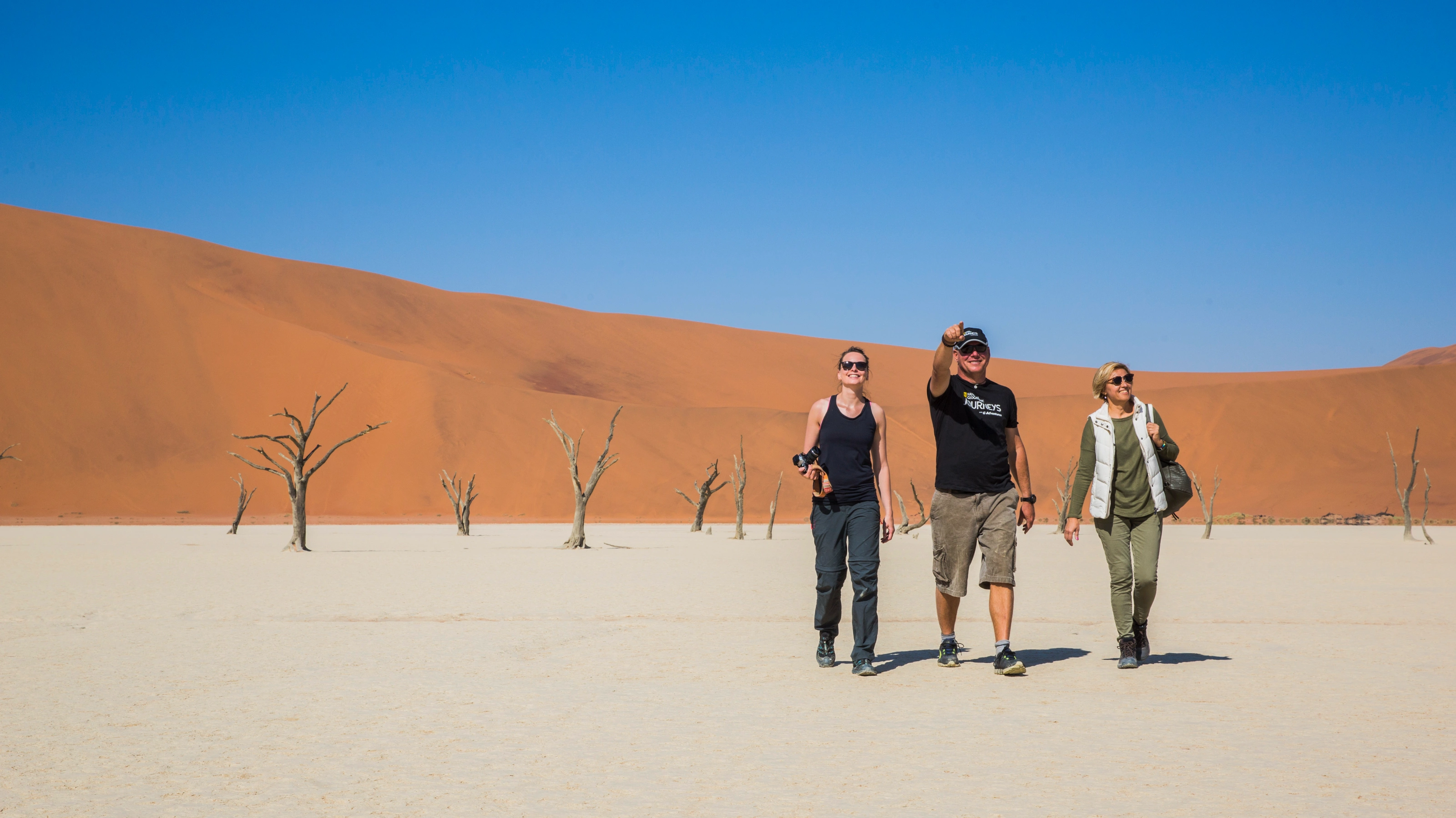 Sand, safari, and stars: best things to do in Namibia