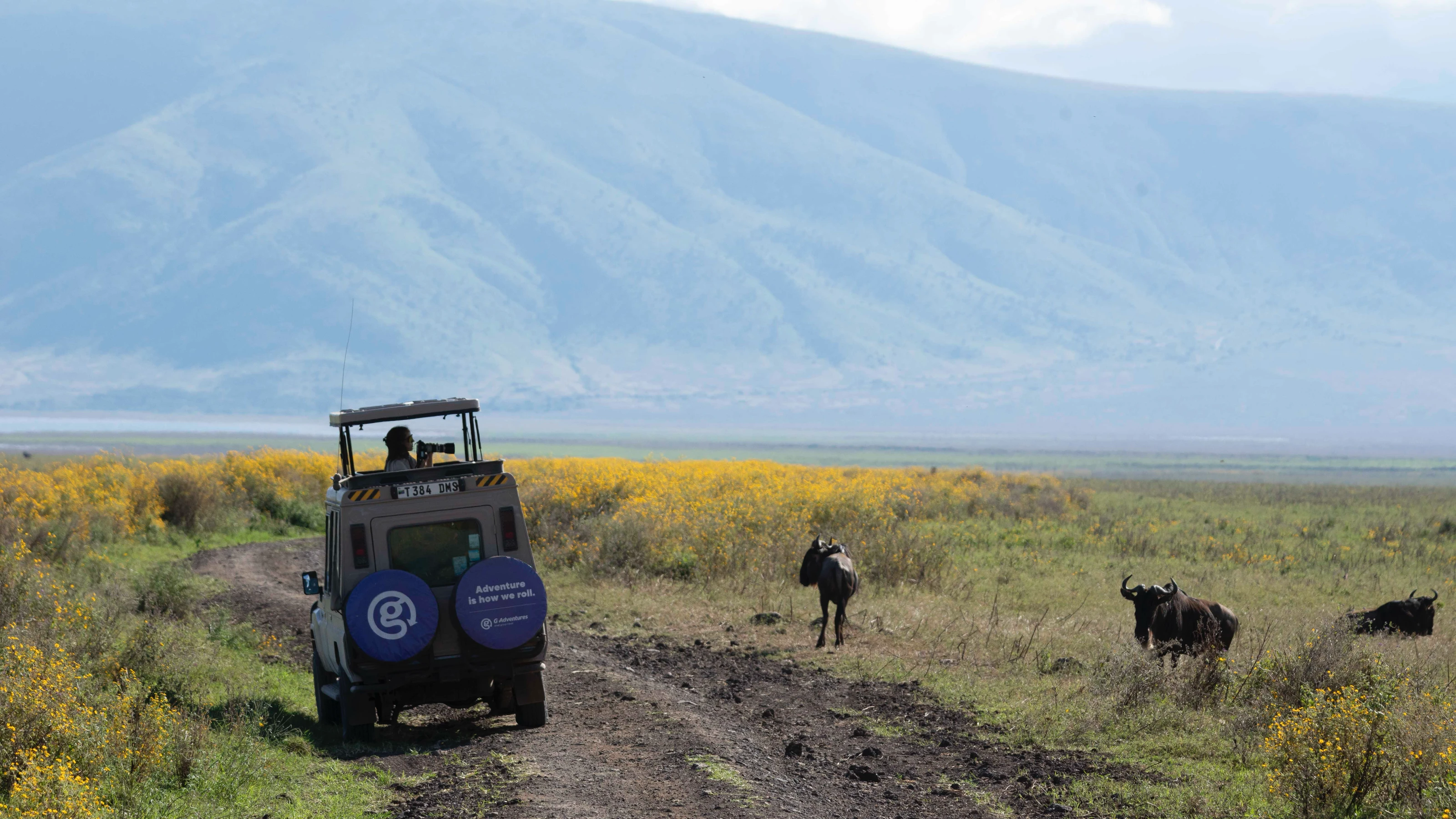 Nature calls: best G Adventures tours for wildlife lovers