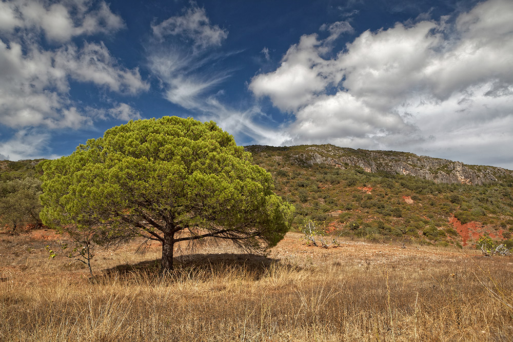 Portugal’s own Table Mountain at Rocha da Pena. Photo courtesy Falk Lademann, CC BY-NC-SA 2.0.