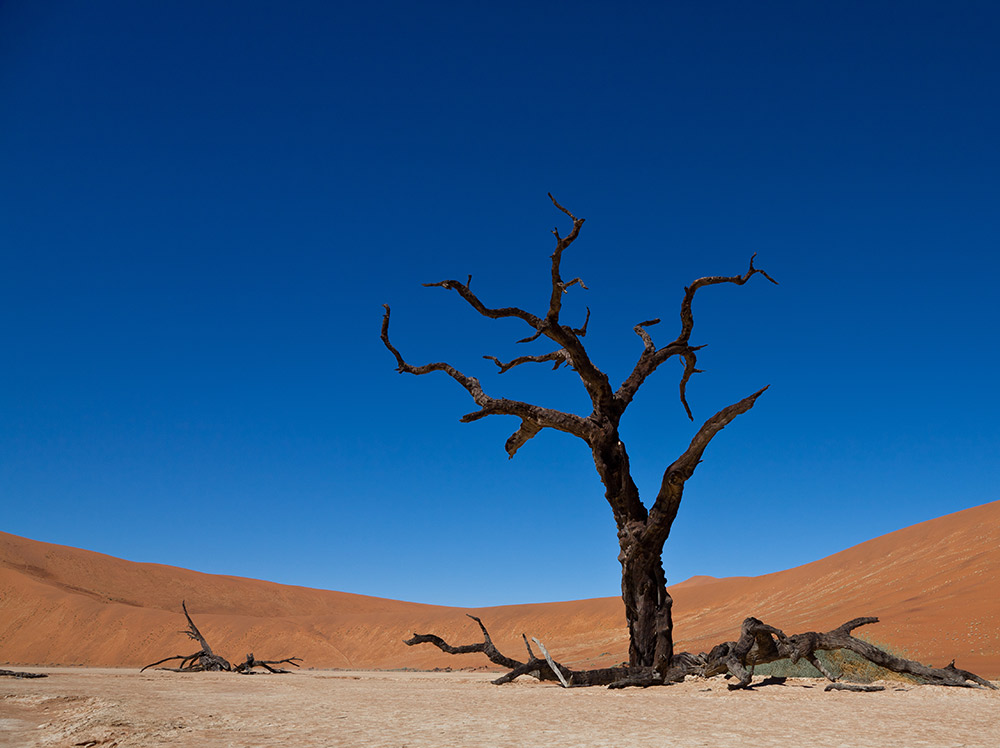 Deadvlei pan. Photo courtesy Julien L.