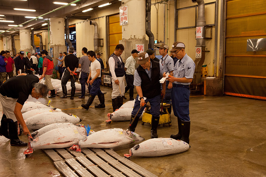 It's tuna for days at Tsukiji.