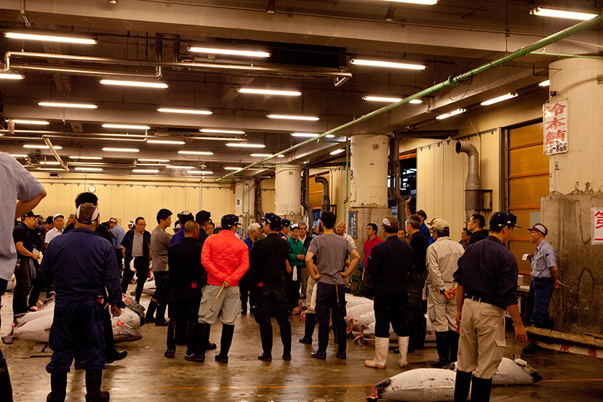 We saw the bidders stand at attention as the auctioneer started yelling out things at the crowd.