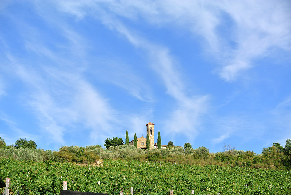 The scenic landscape surrounding Azienda Agricola Enrico Baj Macario, in Tuscany.