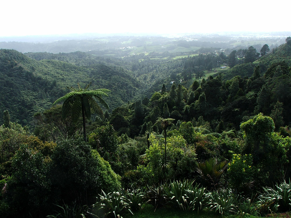 Autumn brings a temperate climate perfect for walking in the Waitakere Ranges. Photo courtesy Peter H.