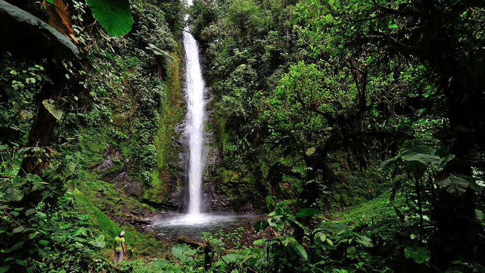 There are several to chose from in Mindo. Here's Esperanza waterfall. Photo courtesy Guenter.