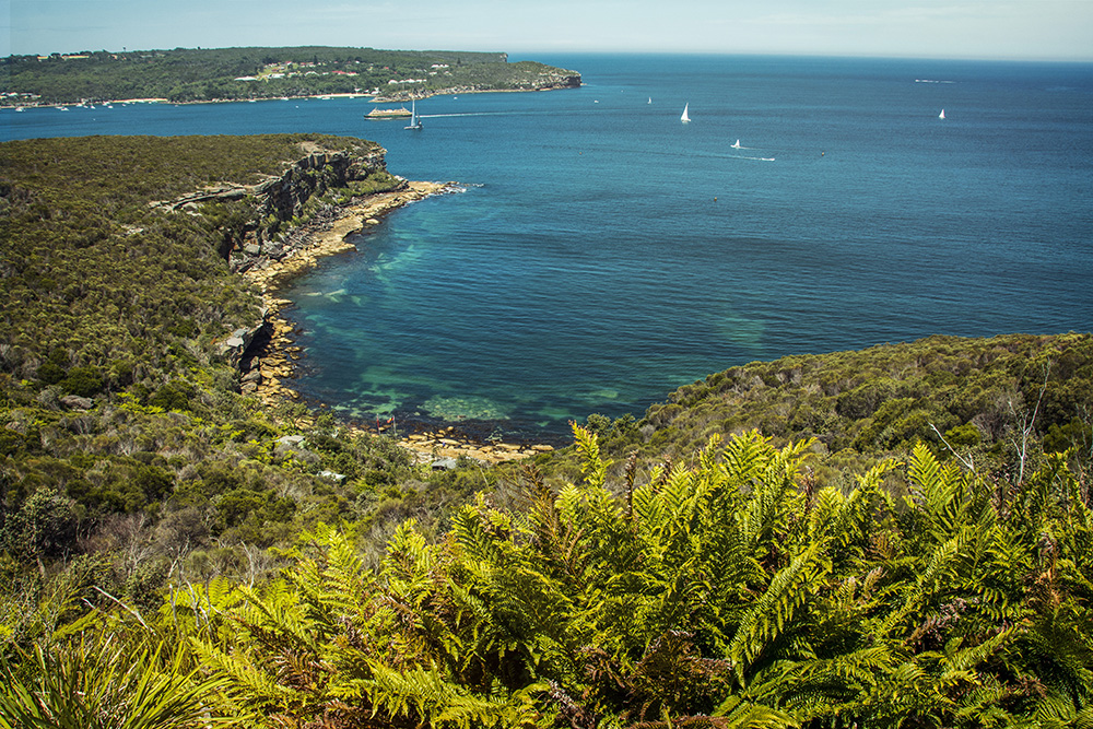 Manly Beach Harbour in Sydney.