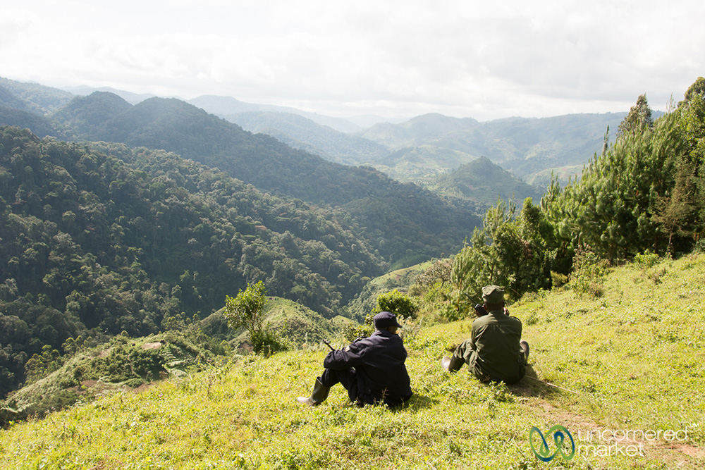 Our guide and one of the scouts wait for word over the radio from a tracker in the forest as to the location of the gorilla family.