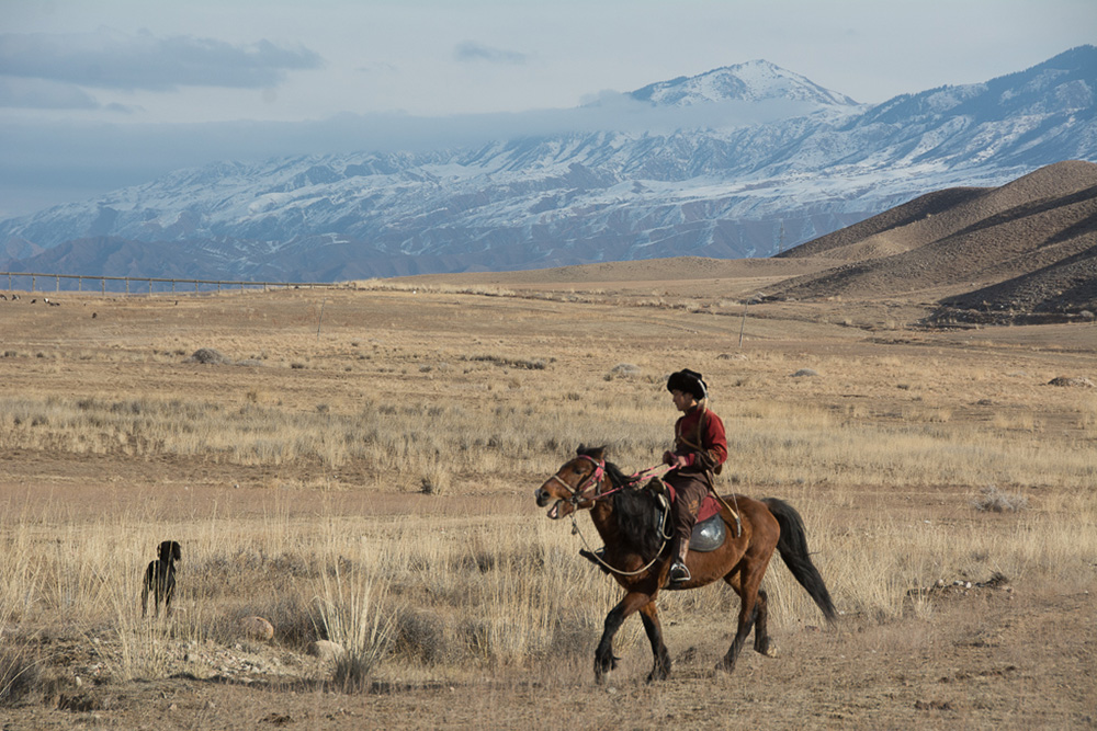 Hunter, horse, and “taigan” dog work together with the golden eagle in “Salbuurun.”