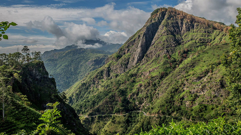 Fall in love with Sri Lanka's central hills.