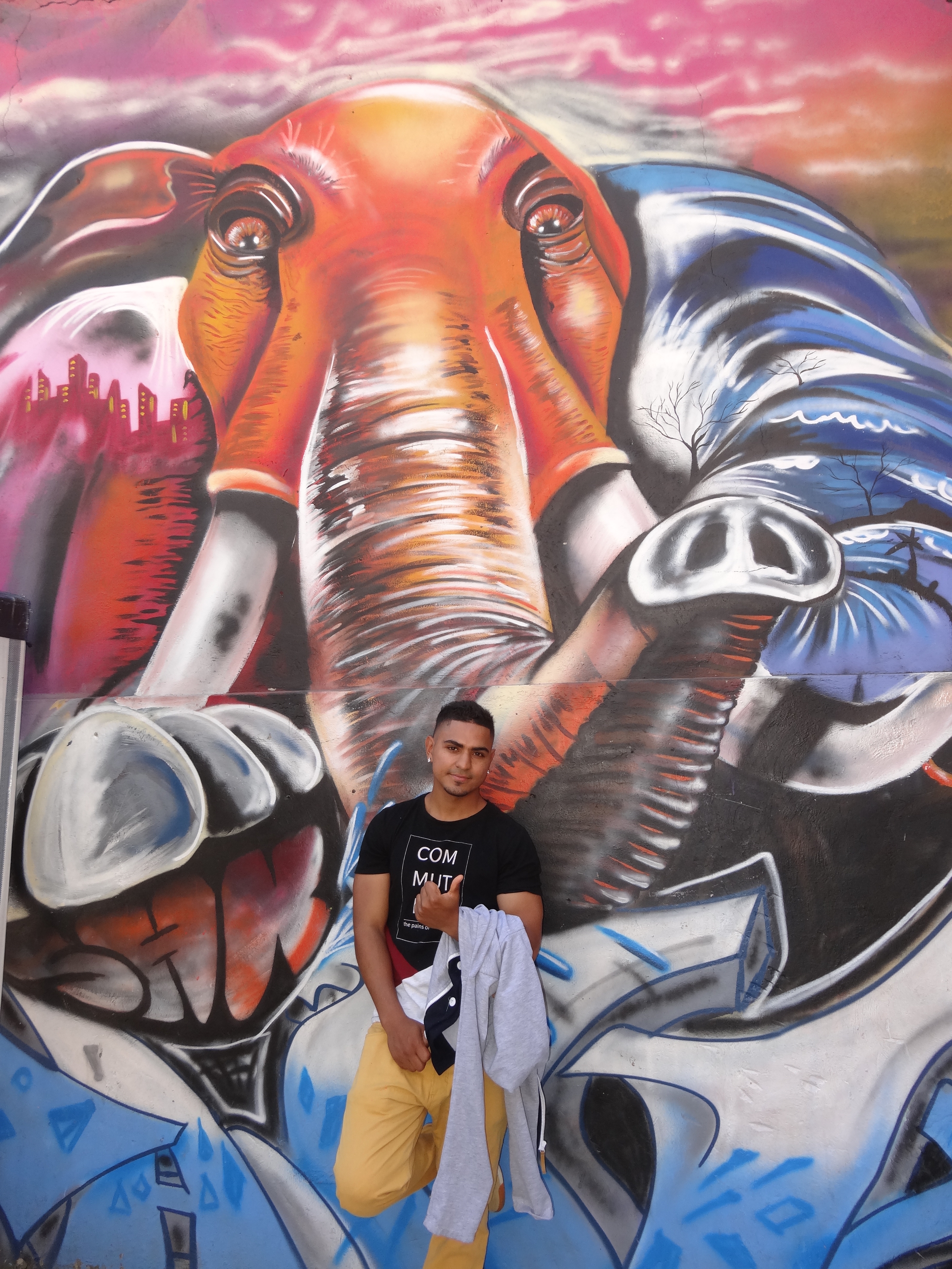 Colombian street artist Chota often uses elephants in his work, as a reminder to never forget Medellin's troubled past.