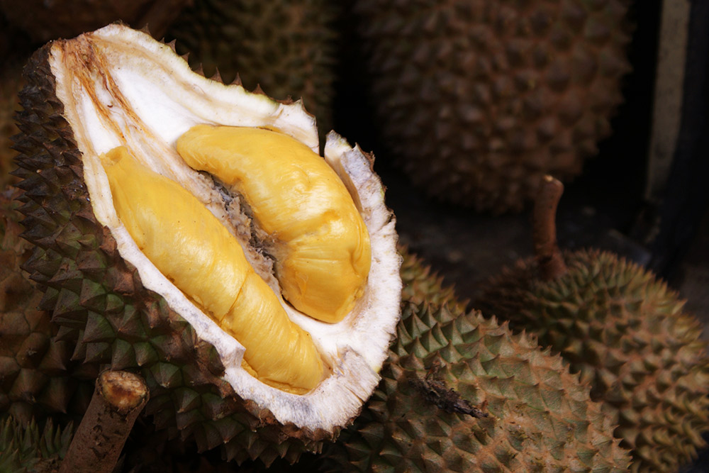 Durian fruit is often known as the King of Fruit. Photo courtesy Teddy R.