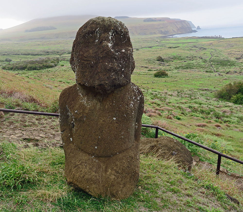 Tukuturi's kneeling pose, beard and rounded head make this moai unlike any other.