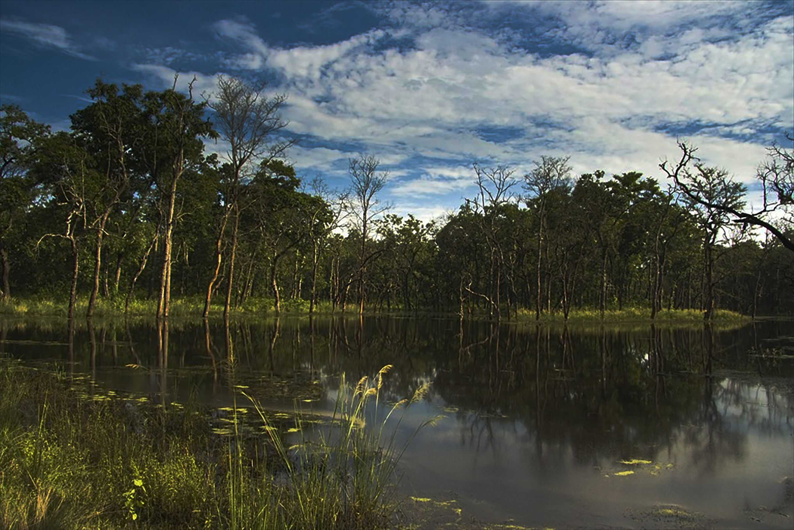 chitwan-national-park-national-park