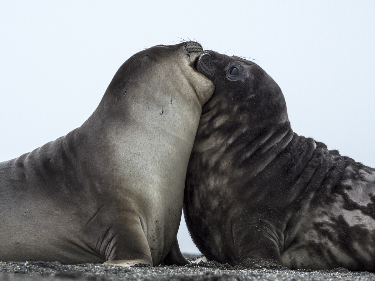 Photo courtesy travel and wildlife photographer Renato Granieri.