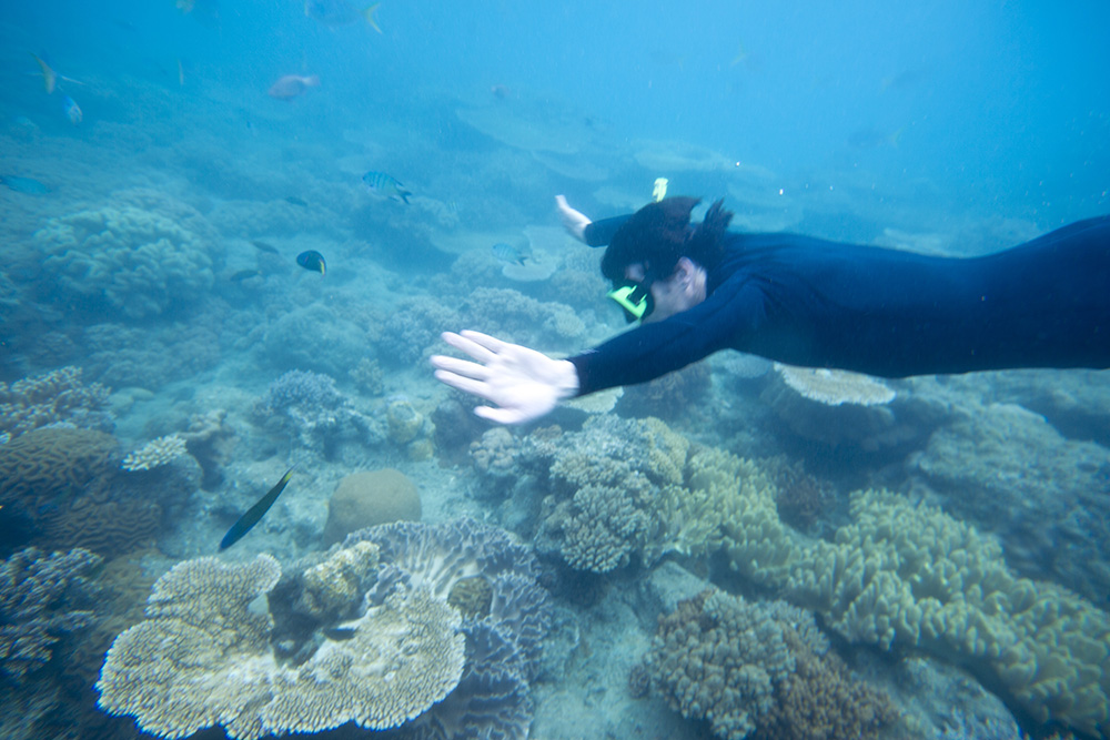 The Great Barrier Reef is one of the world's most precious ecosystems.