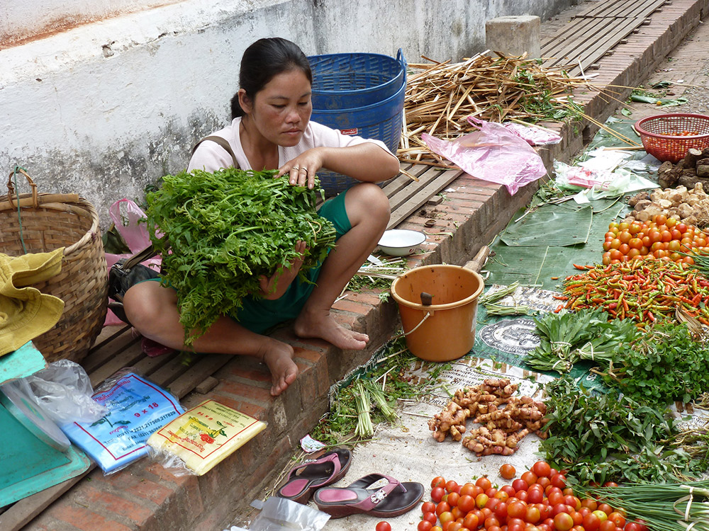 Take your time perusing each stall at the Morning Market. Photo courtesy Lin P.