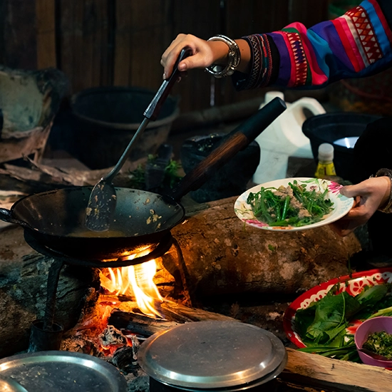 Feast in the rainforest