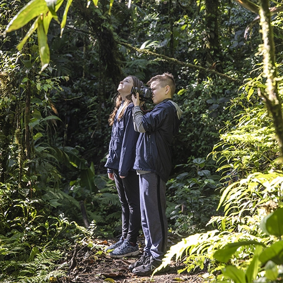 Santa Elena Cloud Forest Guided Tour