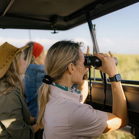 Morning Safari Drive
