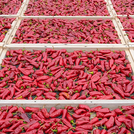 Piment Espelette Farm Visit & Tasting
