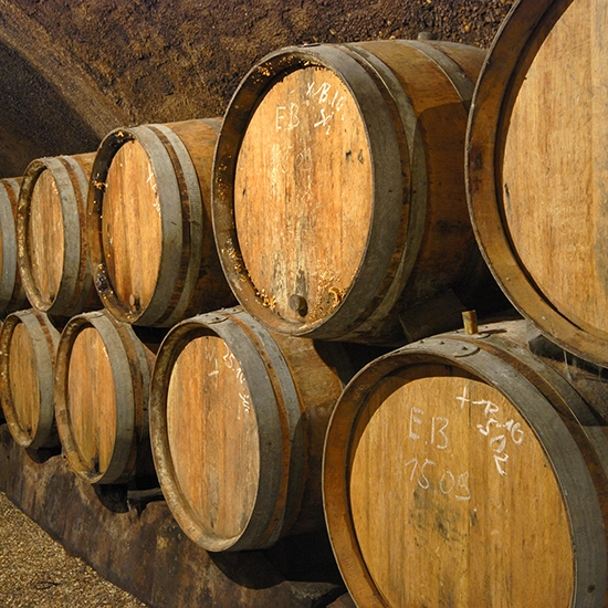 Wine Tasting in the Heart of the Loire Valley